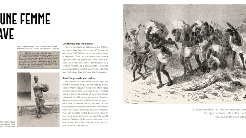 , L&rsquo;historien Frédéric Régent publie un livre retraçant l&rsquo;histoire de l&rsquo;esclavage à destination des enfants