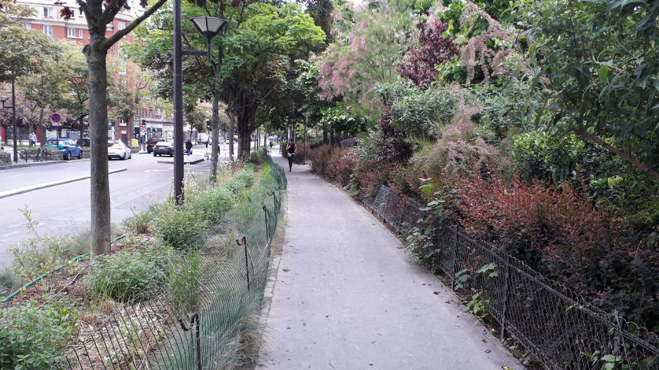 Ensemble végétal structuré avec strates arborescente, arbustive et herbacée, rue Vercingétorix (Paris 14ᵉ). Serge Muller, Fourni par l'auteur