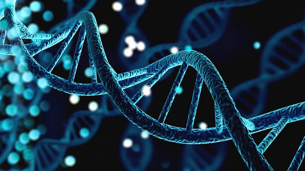 , Comment Biomemory va stocker nos données numériques dans l&rsquo;ADN de synthèse